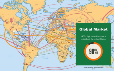 The Global Nitrogen Supply Chain: Deep Dive