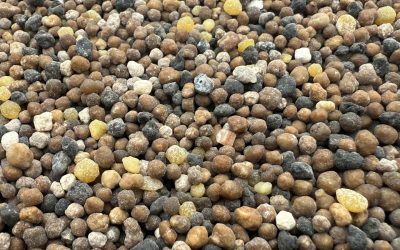 Phosphates: A Key Resource in Agriculture